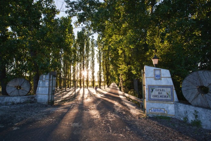 QCCoelheira_014-1024x682