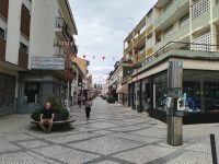 Entroncamento | Município e Agrupamento incentivam a ir a pé para a escola