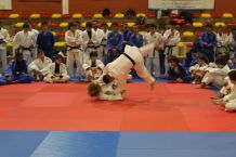 Ferreira de Zêzere | Budo Spirit 2019 juntou mais de 220 judocas de seis países